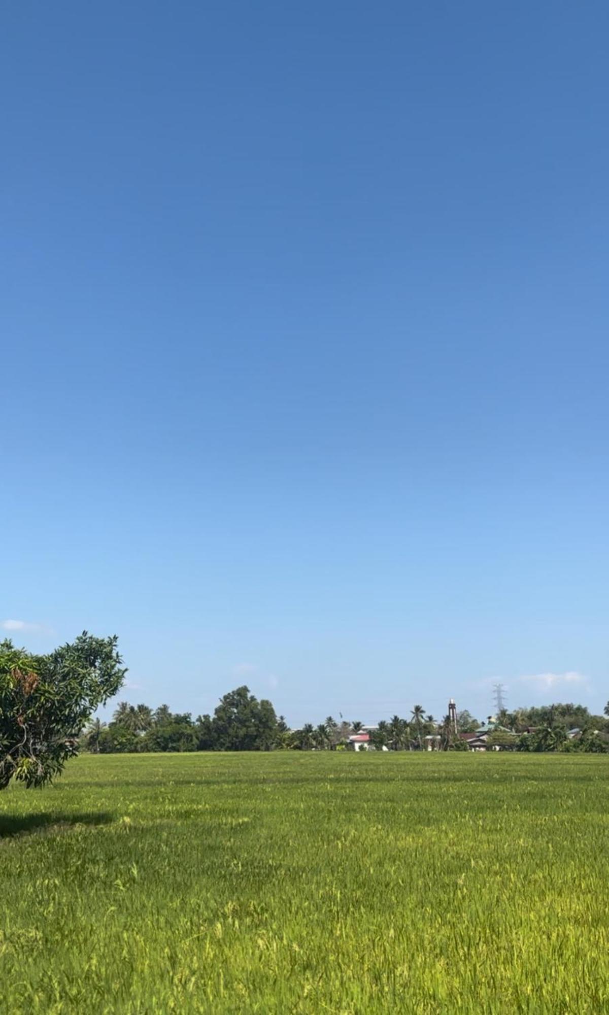 Sunrise Homestay Alor Setar Zewnętrze zdjęcie